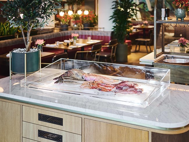 ITALY’S SEA TREASURES